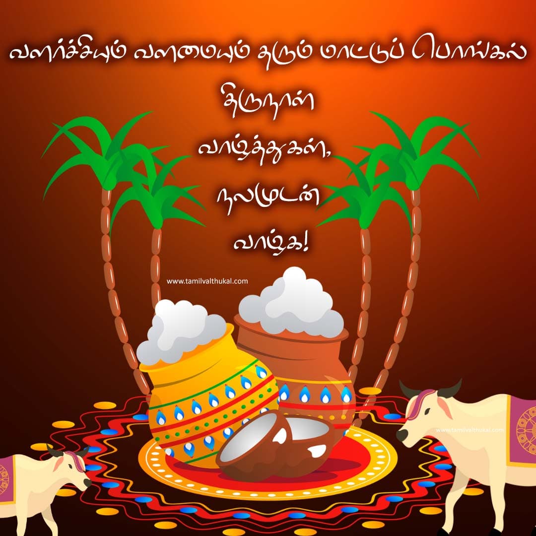 mattu pongal wishes images