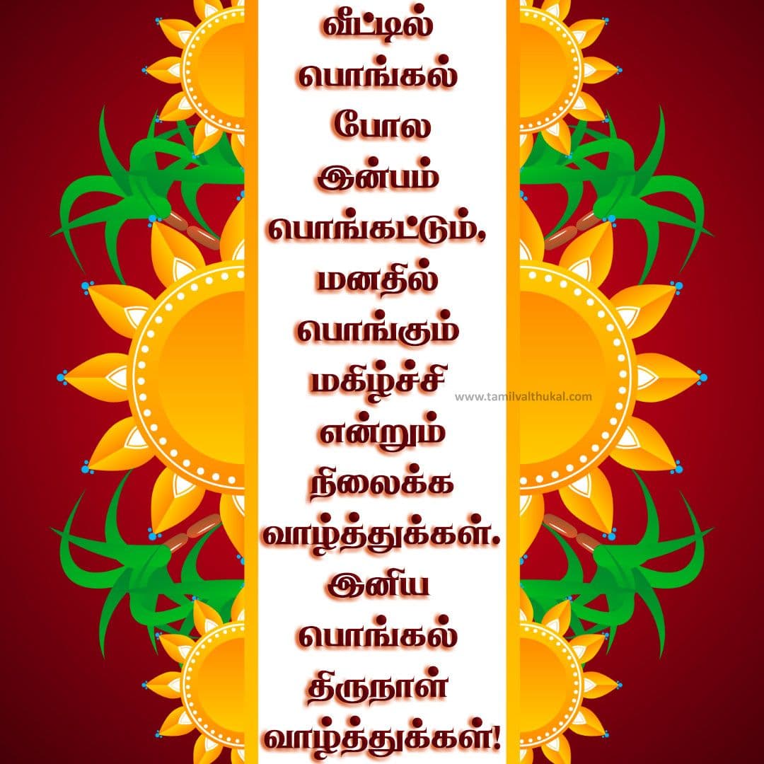 creative pongal wishes