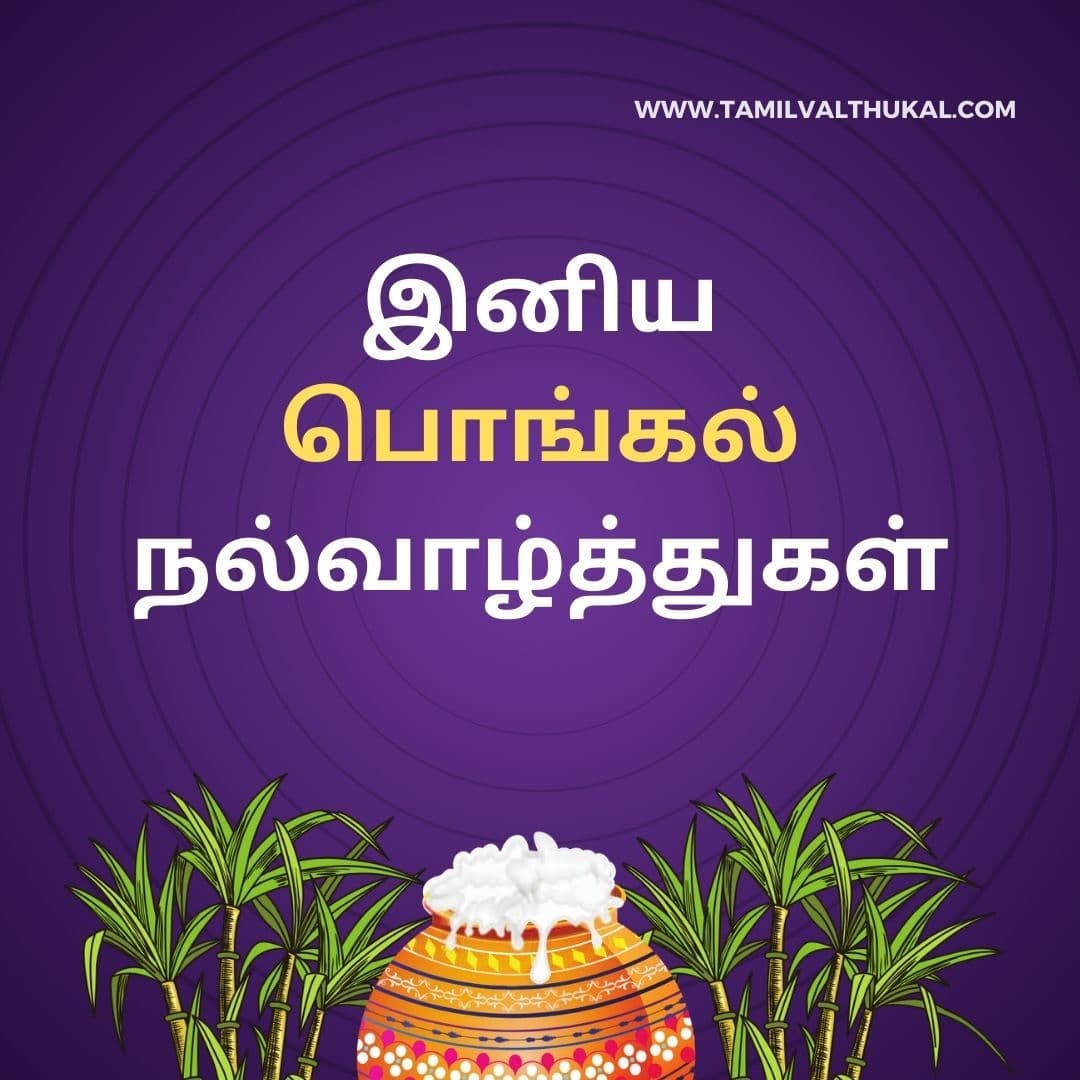 whatsapp pongal wishes in tamil