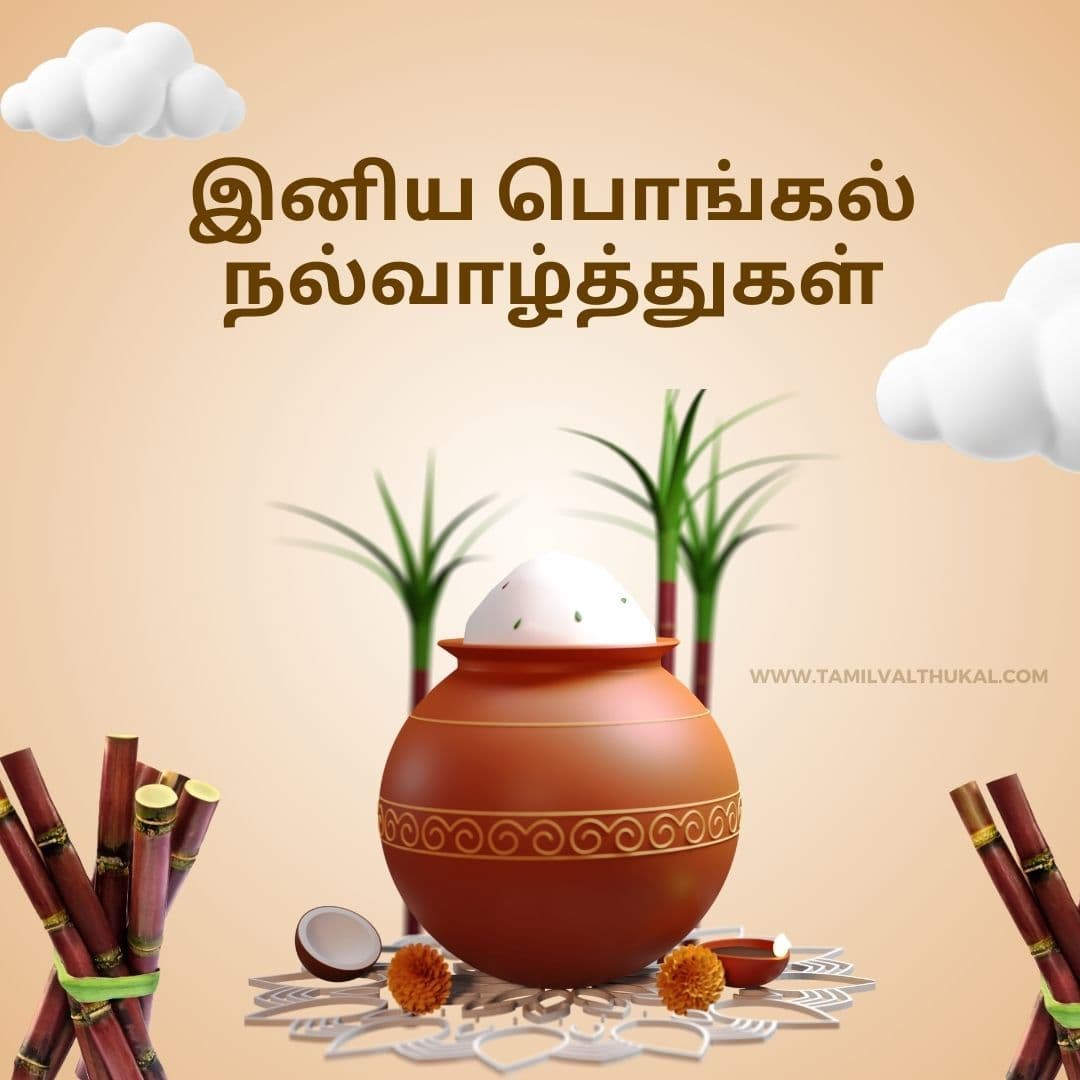 new pongal wishes in tamil