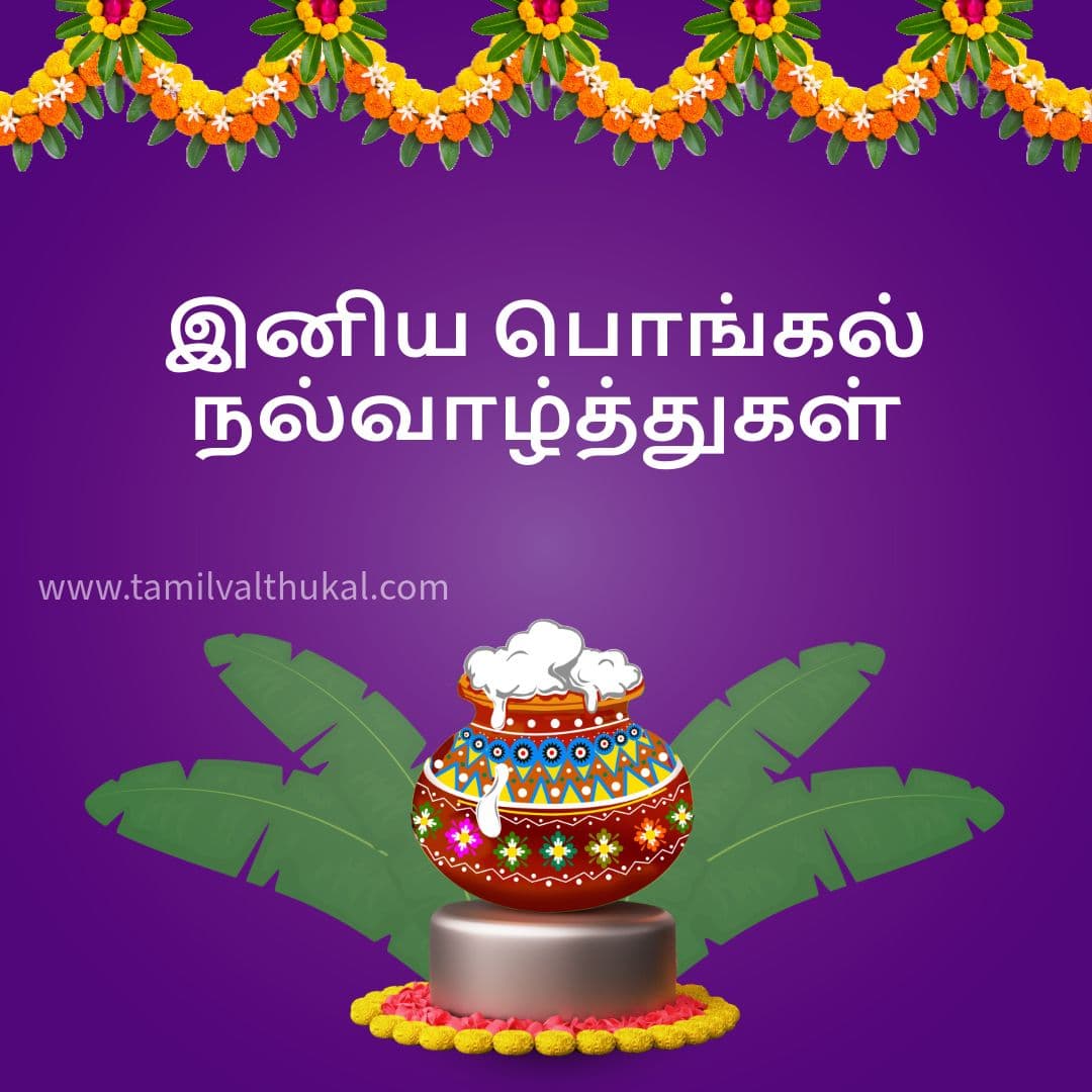 pongal 2025 wishes in tamil